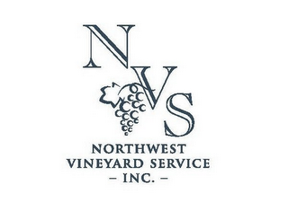 NVS NORTHWEST VINEYARD SERVICE, INC. logo