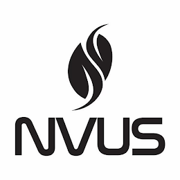 NVUS logo