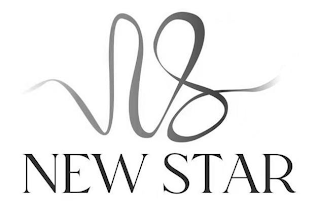 NW NEW STAR logo