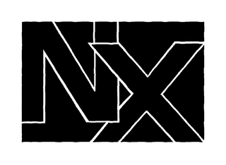 NX logo