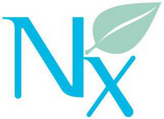 NX logo