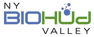 NY BIOHUD VALLEY logo