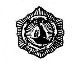 N.Y. VF logo