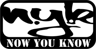 NYK NOW YOU KNOW logo