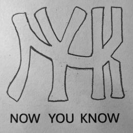NYK   NOW YOU KNOW logo
