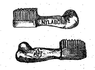 NYLABONE logo