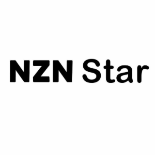 NZN STAR logo