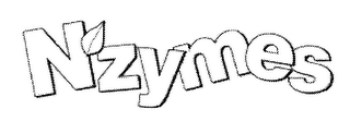 NZYMES logo