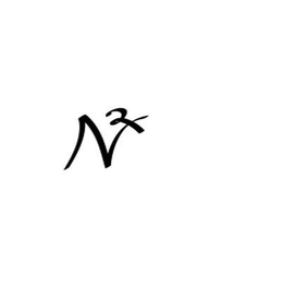 N²X logo