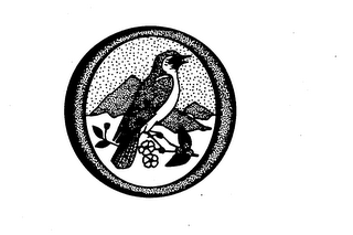 O logo