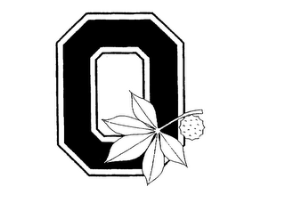O logo