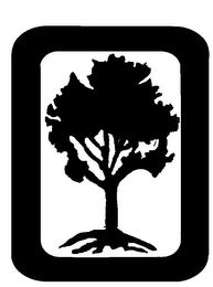O logo