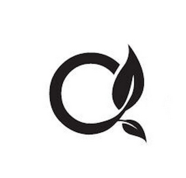 O logo