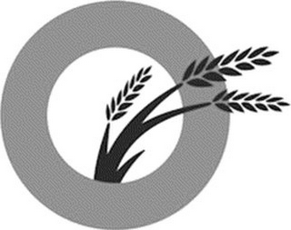 O logo