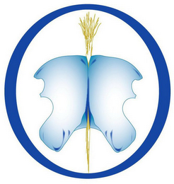 O logo