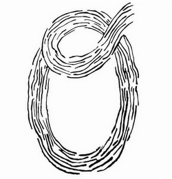 O logo
