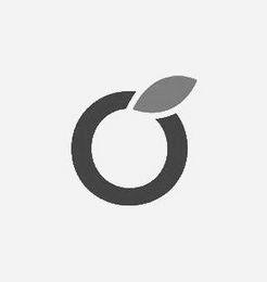 O logo