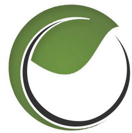 O logo