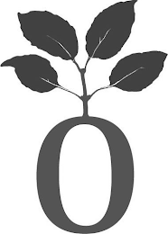 O logo