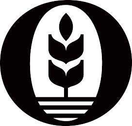 O logo
