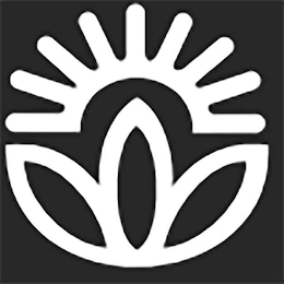 O logo