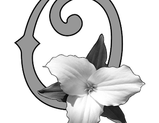 O logo