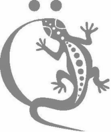 O logo