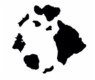 O logo