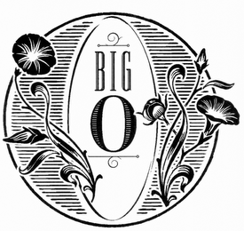 O BIG O logo