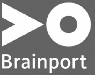 O BRAINPORT logo