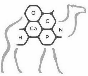 O C N P CA H logo