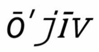O JIV logo