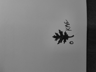 O KAE logo
