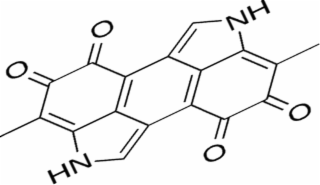 O O NH O O HN logo