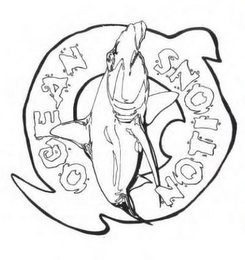 O OCEAN NOTIONS logo
