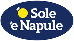 'O SOLE 'E NAPULE logo