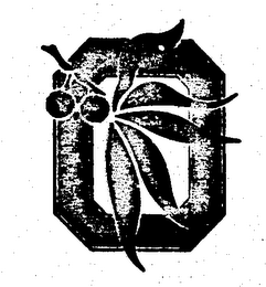 O YY logo