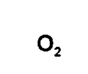 O2 logo