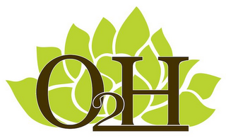 O2H logo