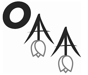 OAA logo