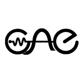 OAE logo