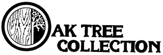 OAK TREE COLLECTION logo