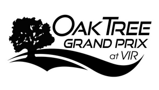 OAK TREE GRAND PRIX AT VIR logo