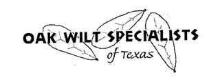 OAK WILT SPECIALISTS OF TEXAS logo