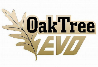 OAKTREE EVO logo