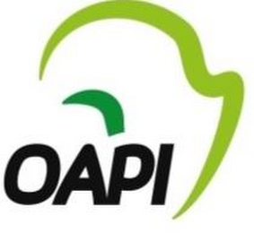 OAPI logo
