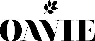 OAVIE logo