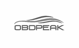 OBDPEAK logo
