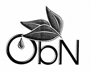 OBN logo