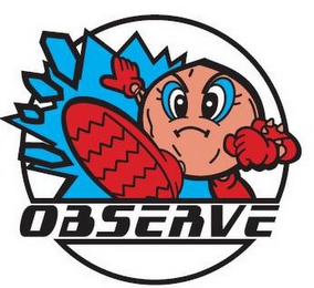 OBSERVE logo